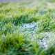 Ice covered artificial grass post winter