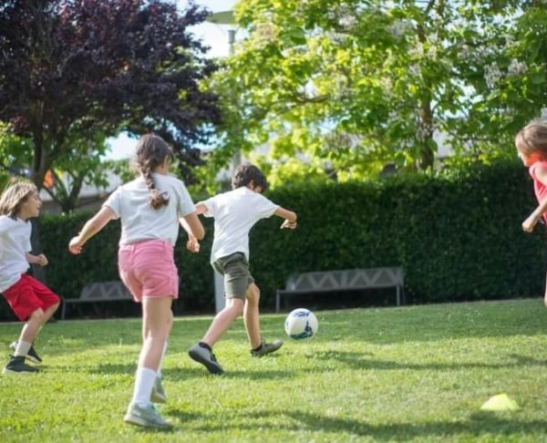 Turfglo artificial turf artificial grass professional cleaners home backyards 845x684 1 home